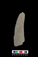 藏品(石錘)的圖片