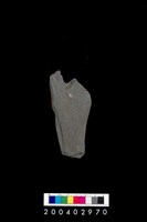 藏品(石鐮)的圖片