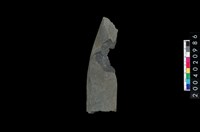 藏品(石鐮)的圖片