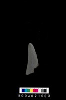 藏品(石鐮)的圖片