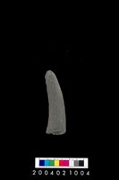 藏品(石鐮)的圖片