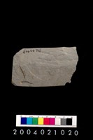 藏品(石鐮)的圖片