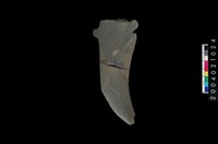 藏品(石鐮)的圖片