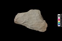 藏品(有肩打製石斧)的圖片