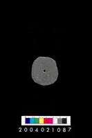 藏品(帶穿孔板岩片)的圖片