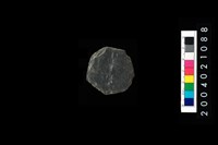 藏品(帶穿孔板岩片)的圖片