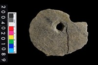 藏品(帶穿孔板岩片)的圖片