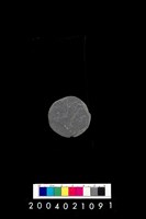 藏品(帶穿孔板岩片)的圖片