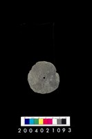 藏品(帶穿孔板岩片)的圖片