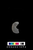 藏品(帶穿孔板岩片)的圖片