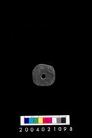 藏品(帶穿孔板岩片)的圖片