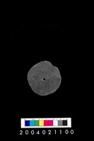 藏品(帶穿孔板岩片)的圖片