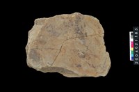 藏品(砥石)的圖片