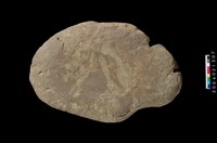 藏品(砥石)的圖片