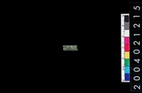 藏品(玉管珠)的圖片