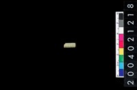 藏品(玉管珠)的圖片