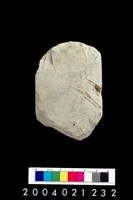 藏品(石錛)的圖片