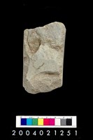 藏品(石錛)的圖片