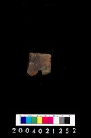 藏品(石錛)的圖片