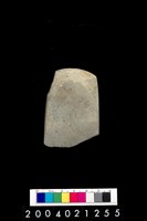 藏品(石錛)的圖片