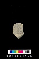 藏品(石錛)的圖片