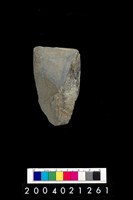 藏品(石錛)的圖片