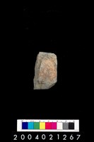 藏品(石錛)的圖片