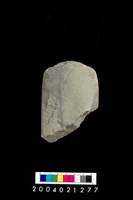 藏品(石錛)的圖片