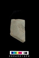 藏品(石錛)的圖片