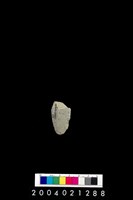 藏品(石錛)的圖片