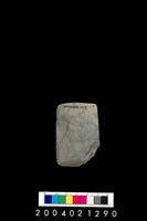 藏品(石錛)的圖片