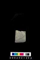 藏品(石錛)的圖片