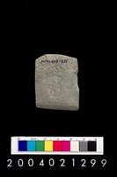 藏品(石錛)的圖片