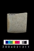 藏品(石錛)的圖片