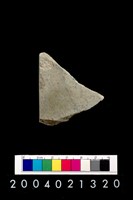 藏品(石錛)的圖片