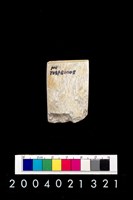 藏品(玉錛)的圖片