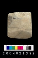 藏品(石錛)的圖片