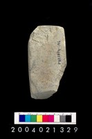 藏品(石錛)的圖片