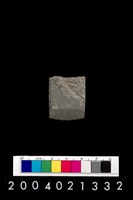 藏品(石錛)的圖片