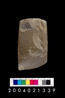 藏品(石錛)的圖片