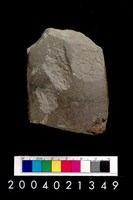 藏品(石錛)的圖片