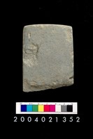 藏品(石錛)的圖片