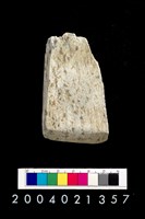 藏品(玉錛)的圖片