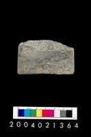 藏品(石錛)的圖片