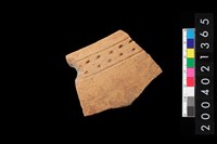 藏品(缽口)的圖片