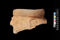 藏品(罐口緣殘件)的圖片