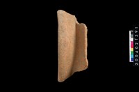 藏品(罐口緣殘件)的圖片