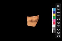 藏品(缽口)的圖片