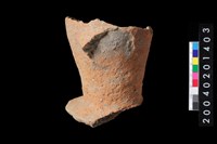 藏品(口緣)的圖片