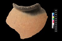 藏品(罐口緣殘件)的圖片